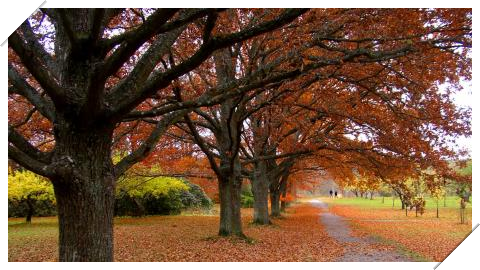 写真を紙で挟んだような効果。