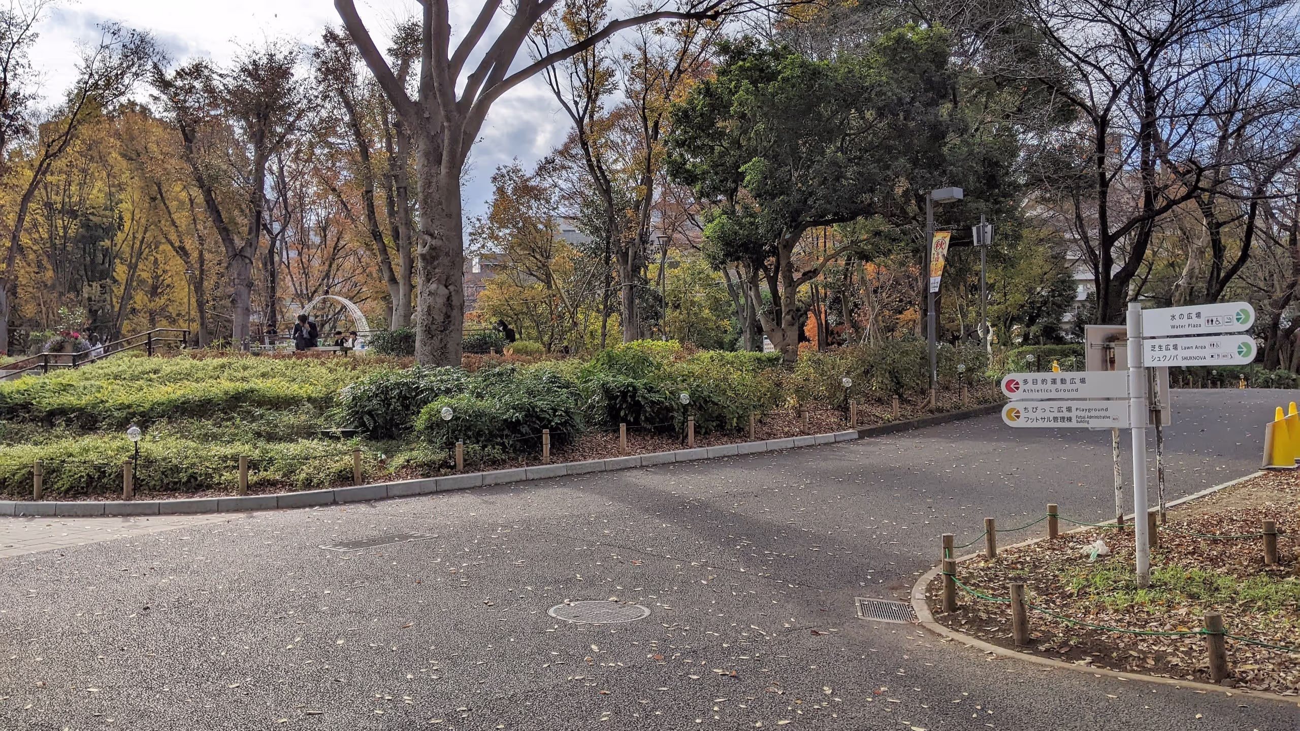 黄色の木、緑の木と、茶色の木