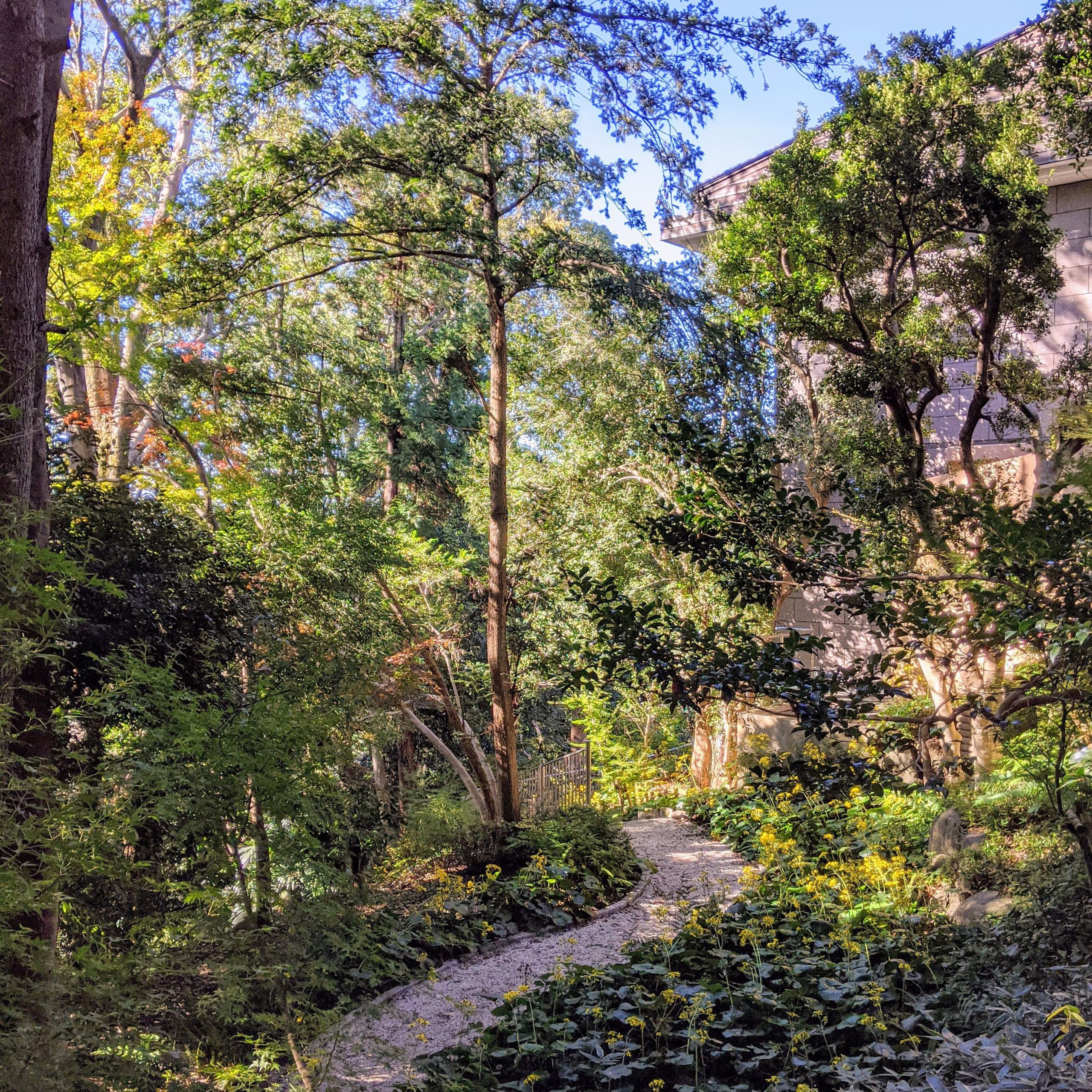 小さい庭だが、高台から見下ろせるためとても気持ちがいい。