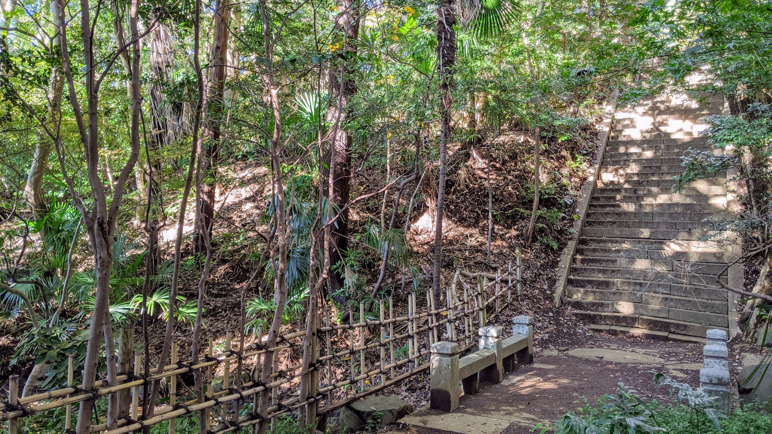 緑地の方は広く、急な階段があってちょっと危ない。
