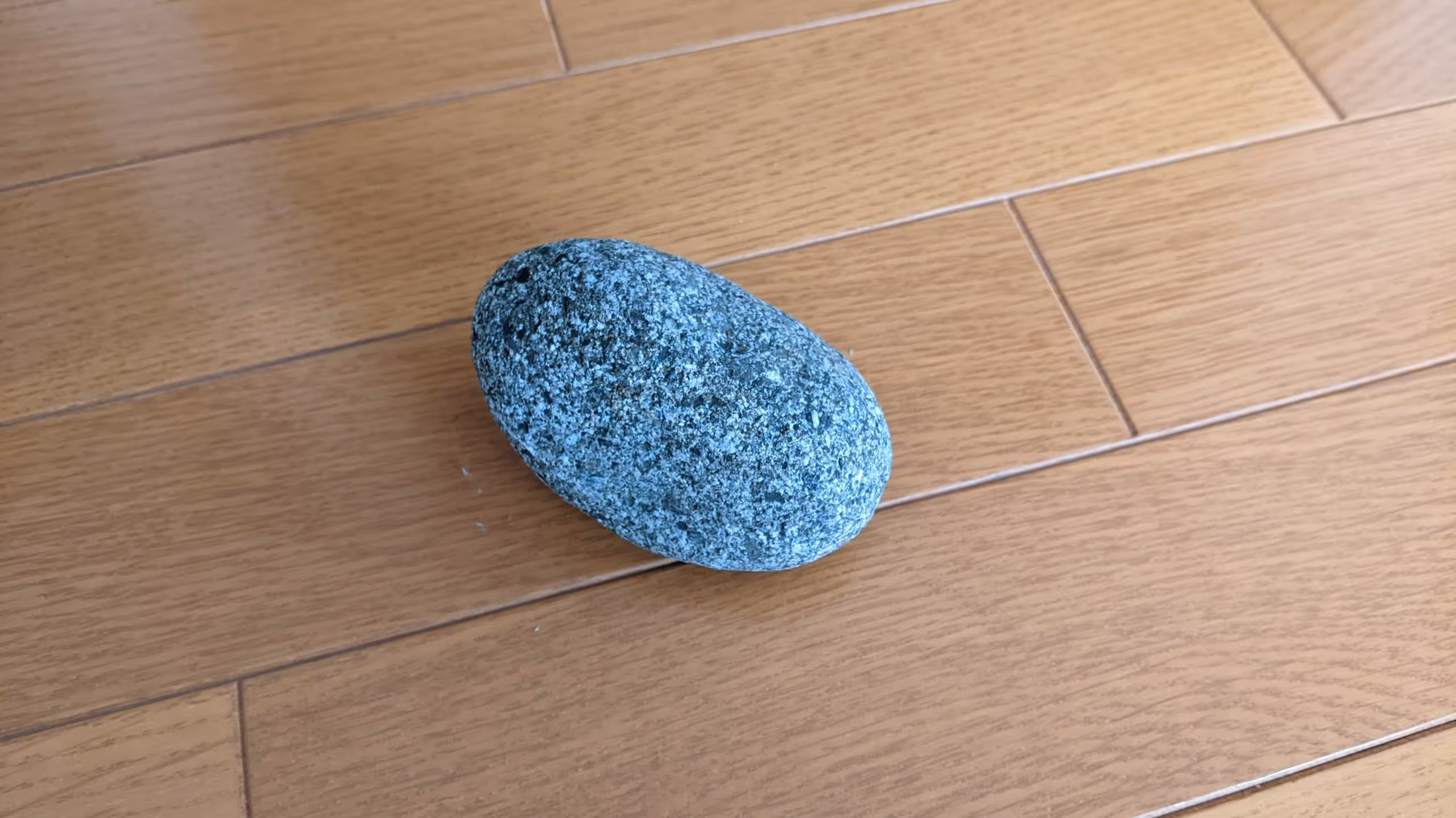 握りこぶしくらいの大きさで灰色の石