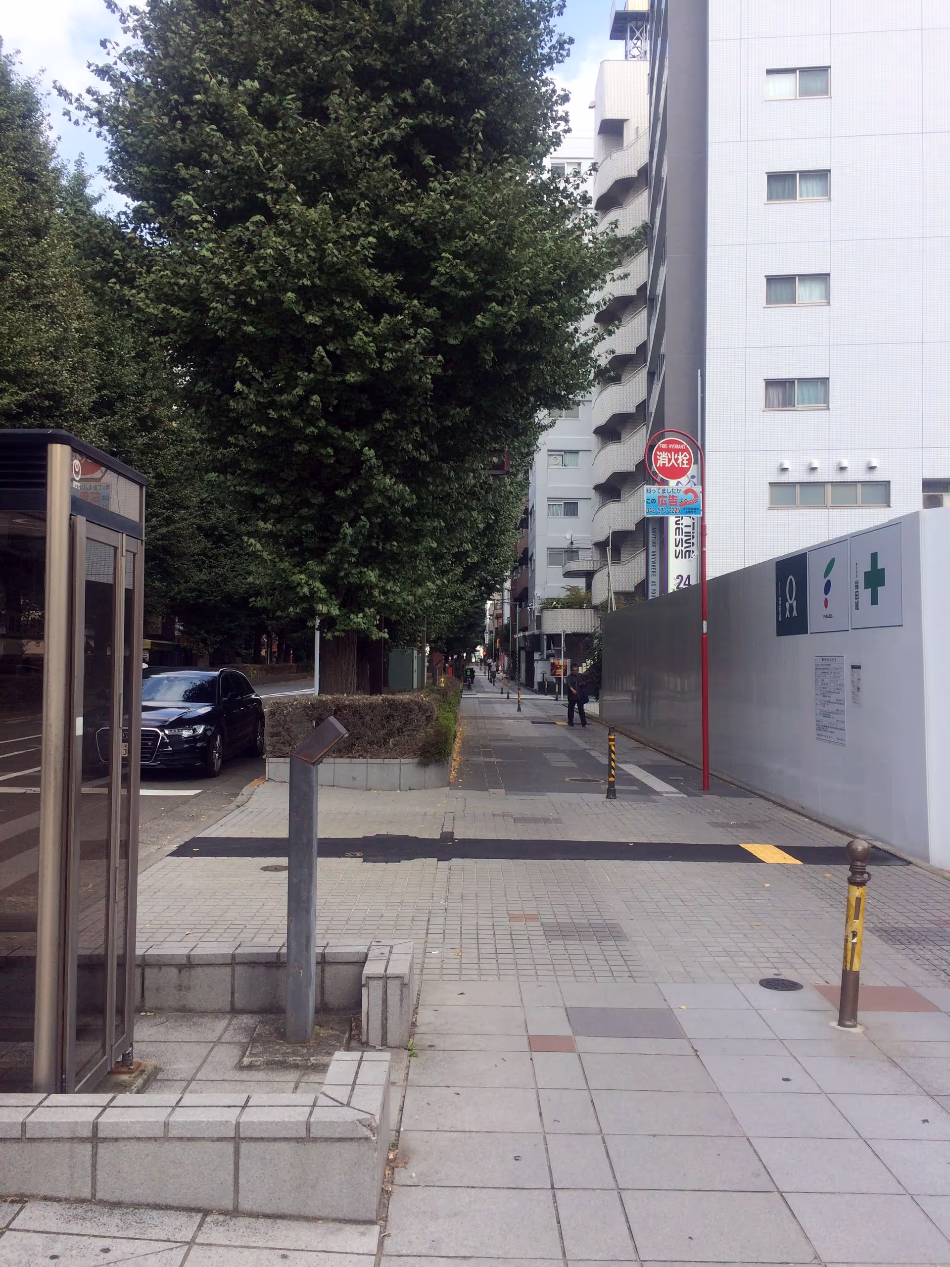 この季節は特徴的な匂いがするいちょう並木。