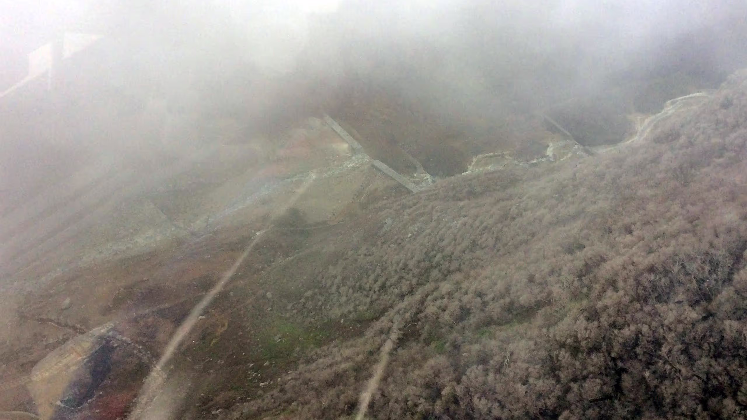 大涌谷だと霧なのか煙なのかよくわからなくなる。