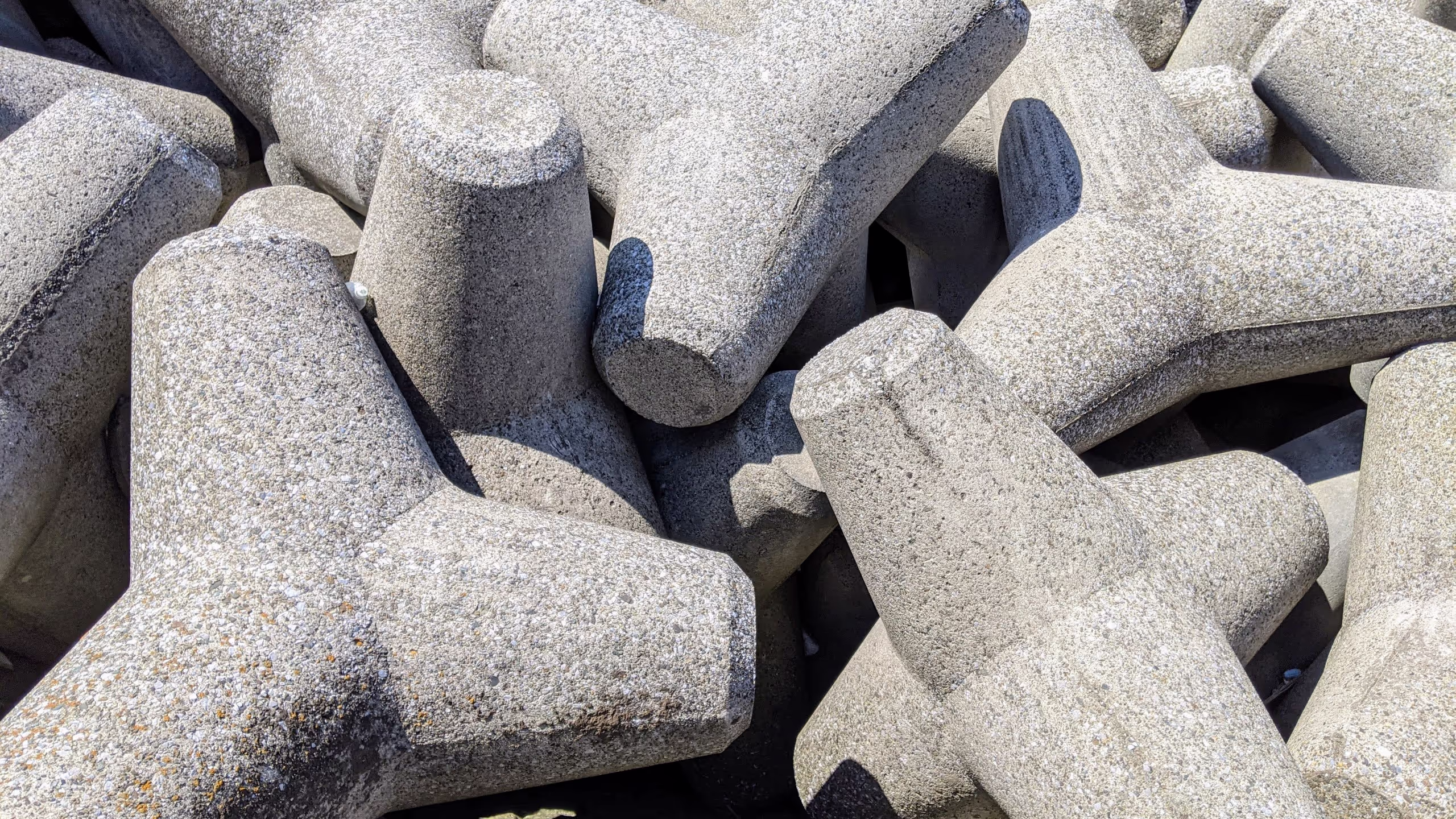 テトラポッドの群生地。