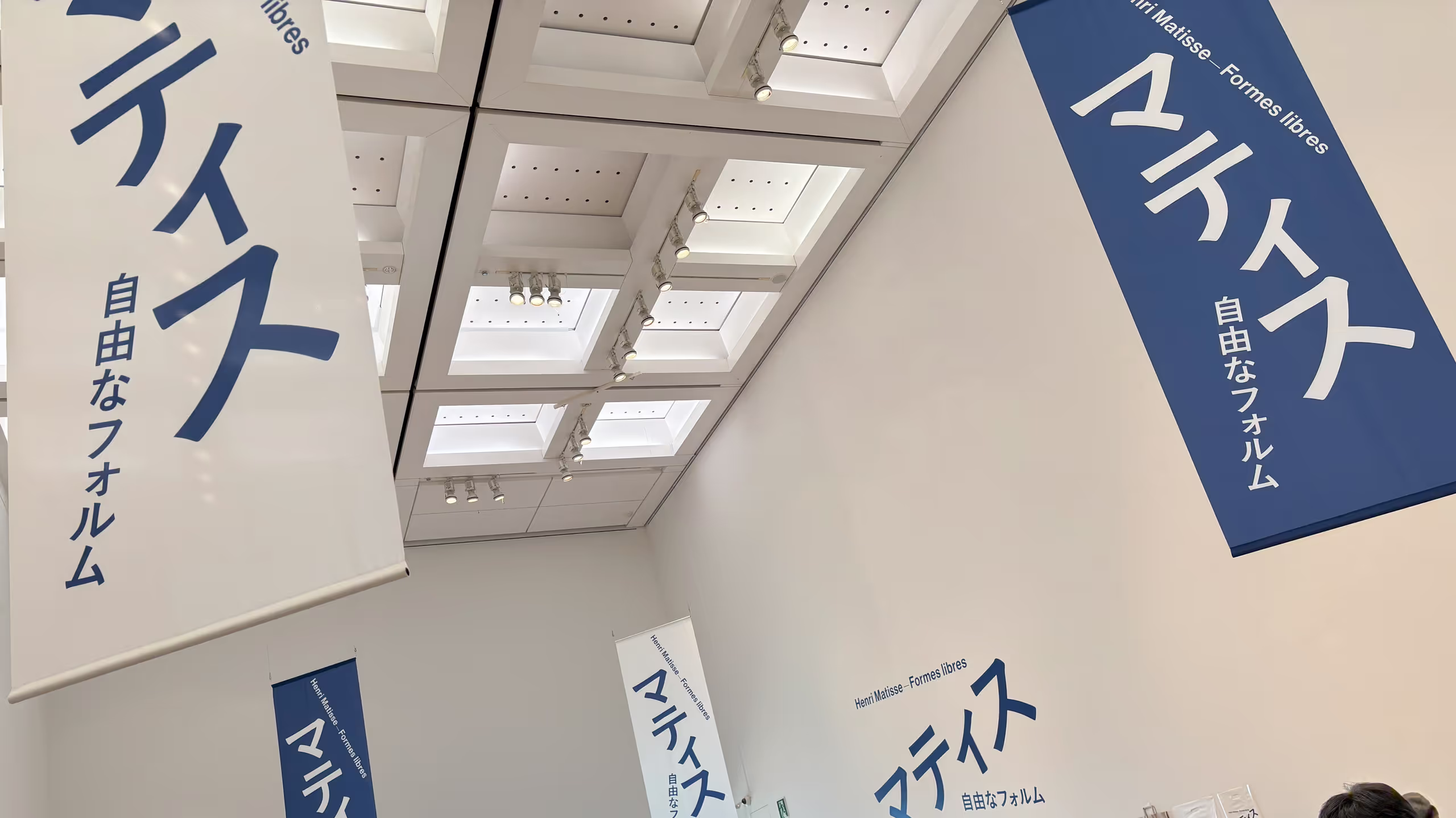 マティス自由なフォルム