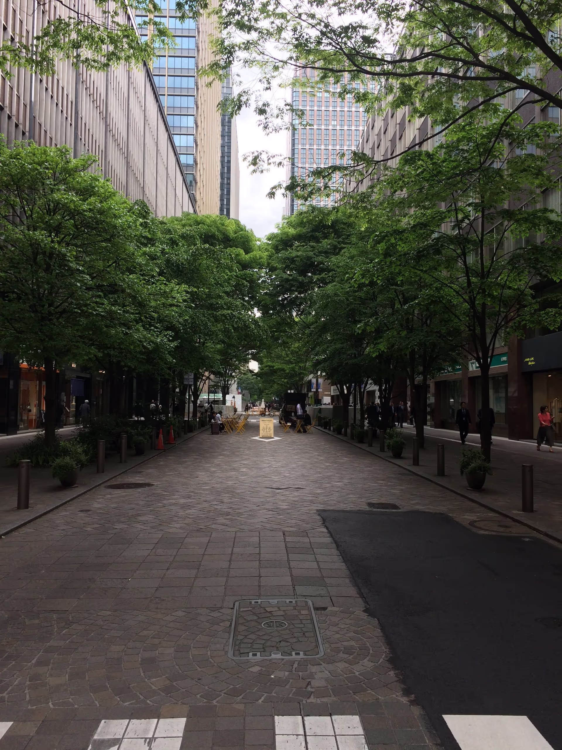 両側に緑あふれる樹木が並んでいる。