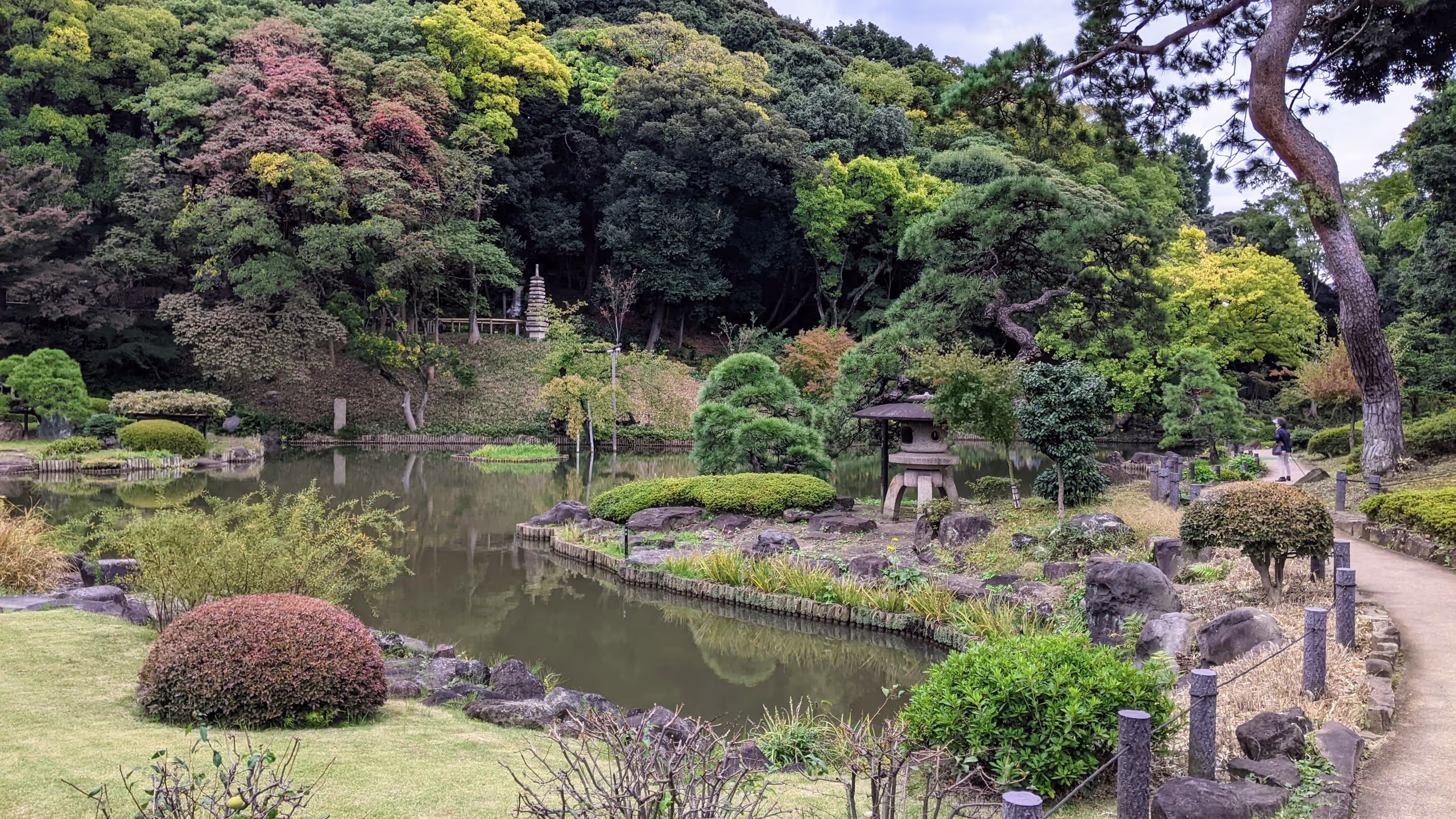 池を中心に丘の上へ向けて様々な樹木がきれいに植栽されている