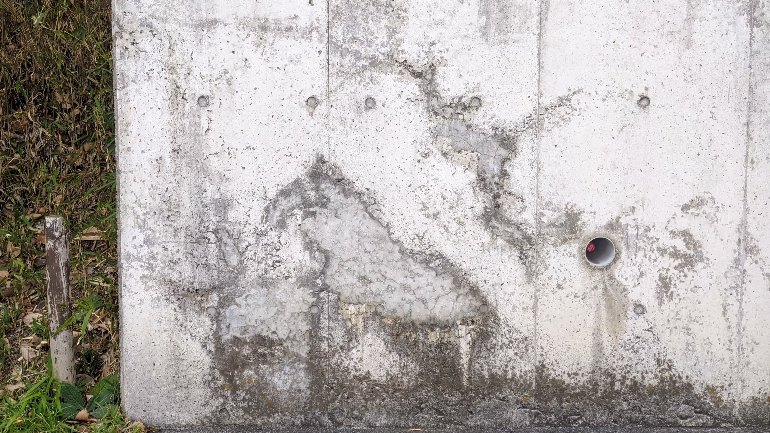 コンクリートの壁の一部が剥落し、それが馬に見える