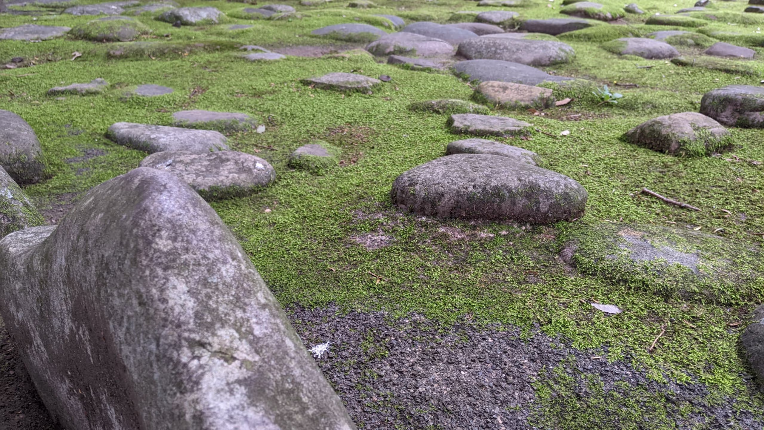 柱を立てていたであろう平たい石の間には苔が生い茂っている