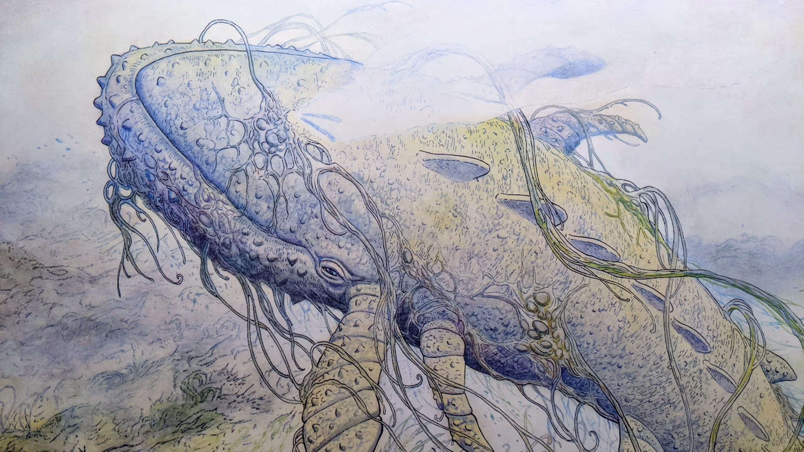 クジラのような大きな生物