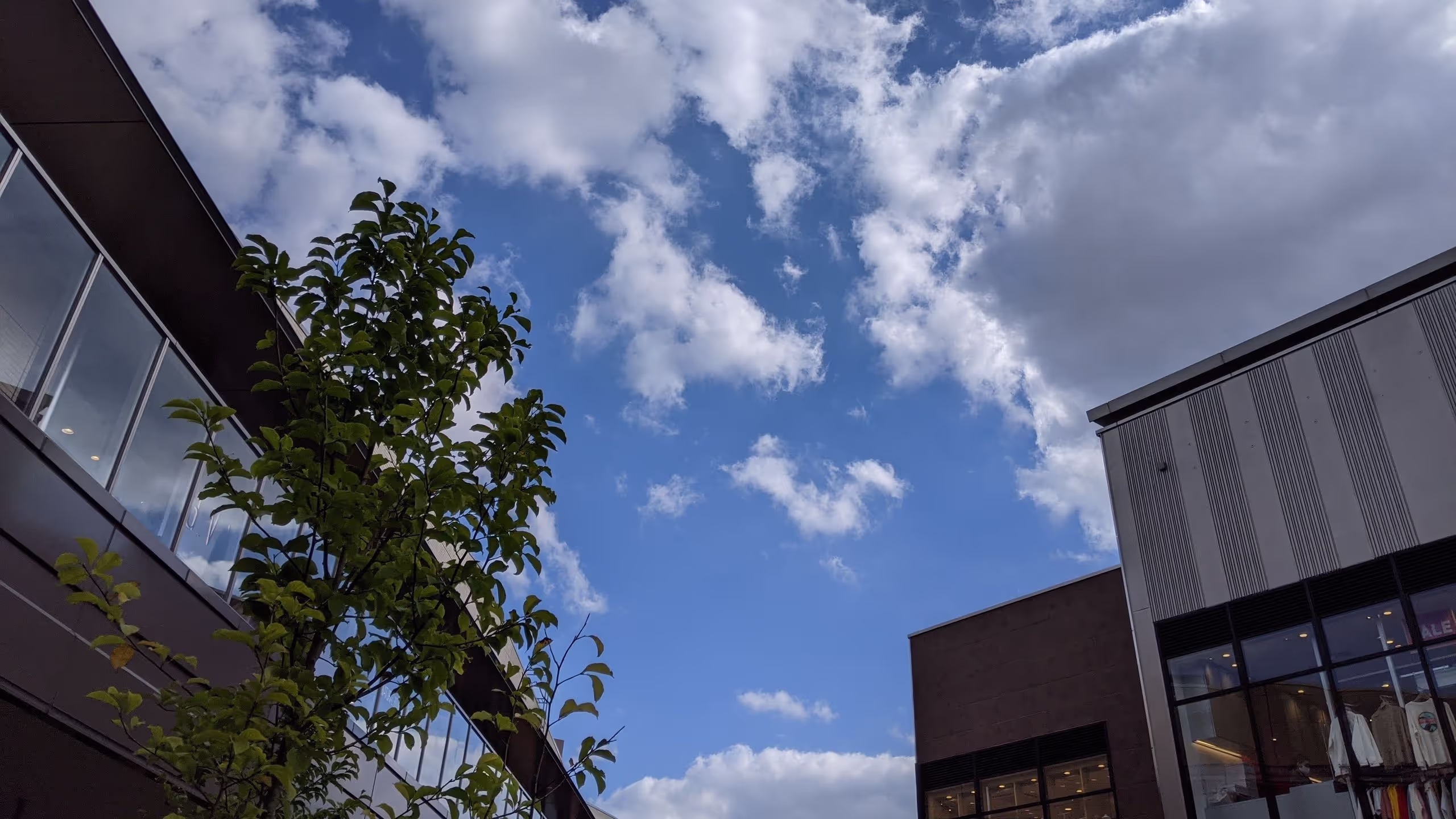 開けていることはグランベリーパークの一番いいところだ。