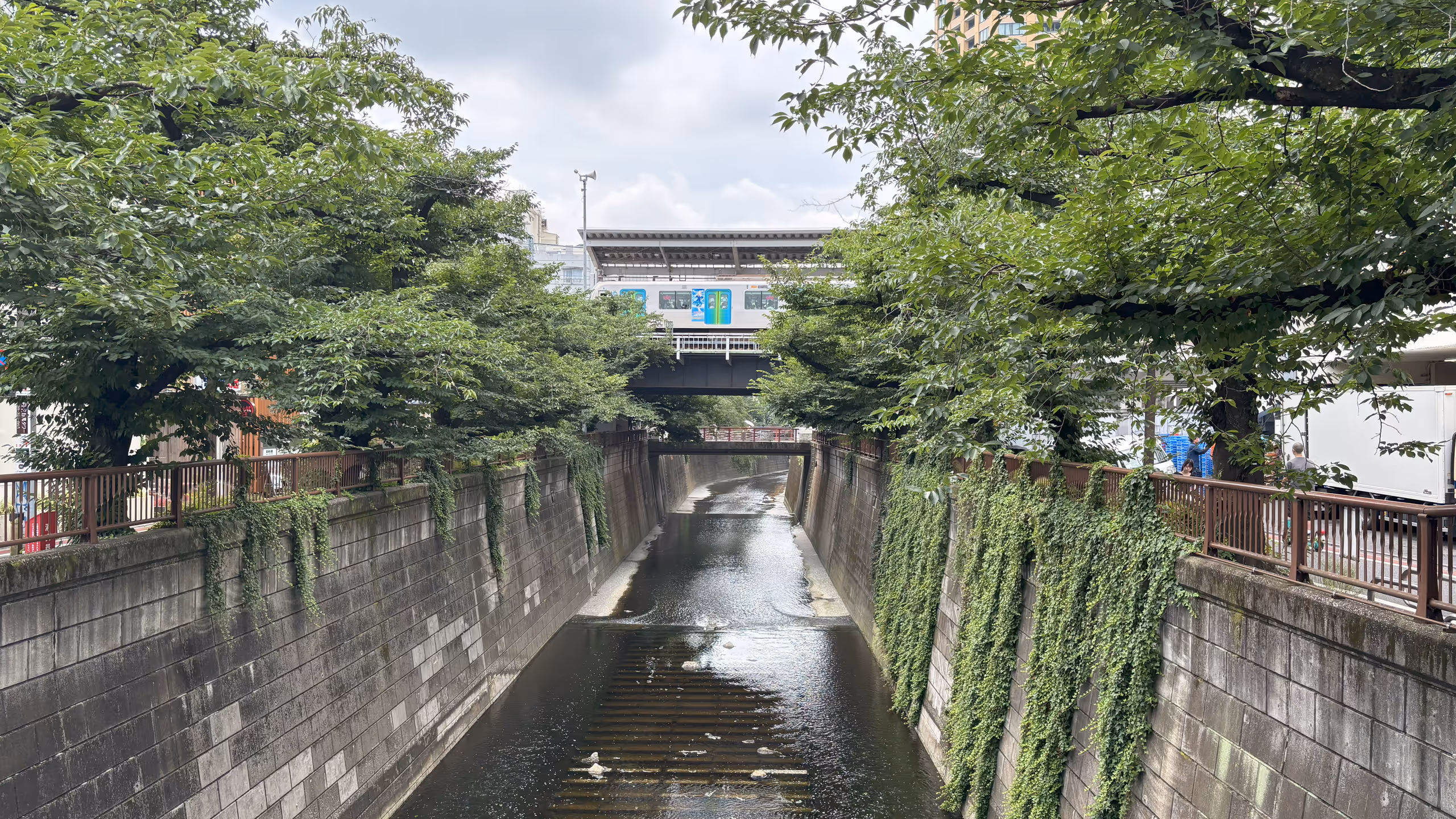完全にコンクリートで舗装された川はかなり水位が低いようだ。奥には赤い柵の歩行者用の橋がかかり、更にその上には駅のホームがあり、ちょうど電車が止まっている。川の左右のサクラはわさわさして夏らしい木陰を作っている。