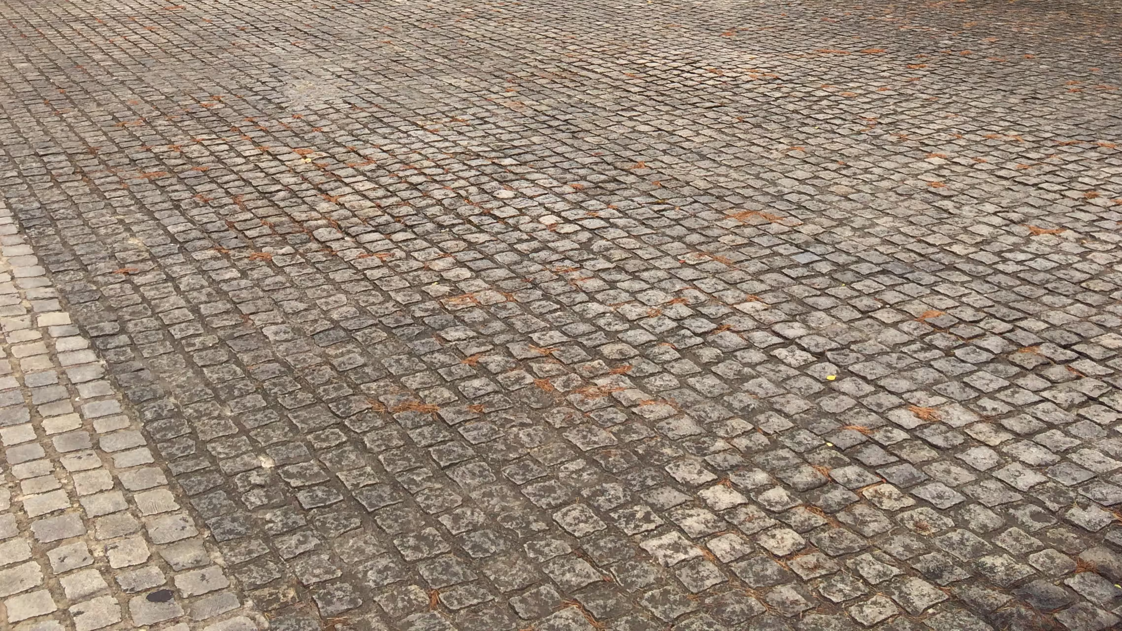 非常にきれいに手入れされている石畳。