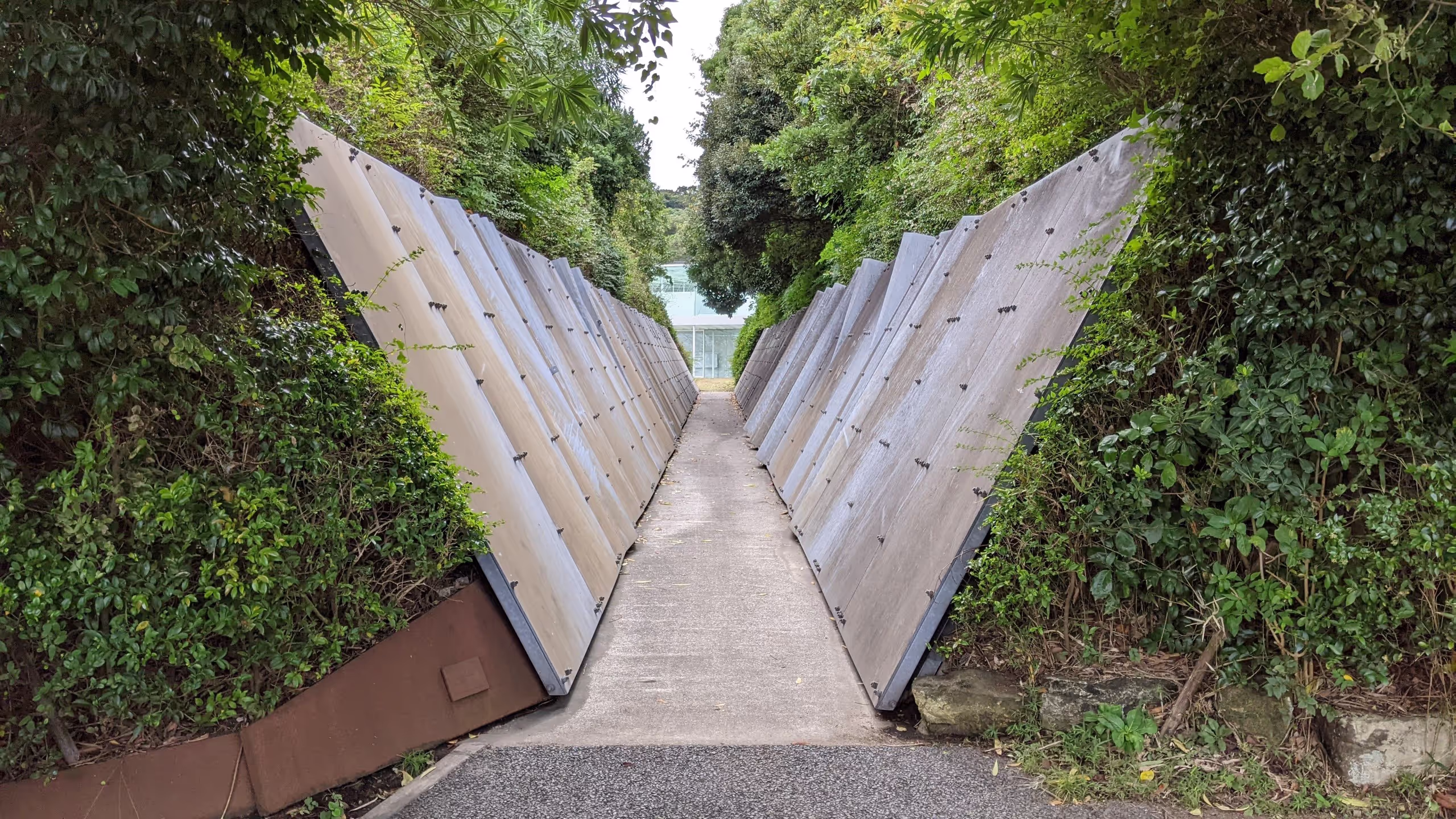 横須賀美術館の裏口