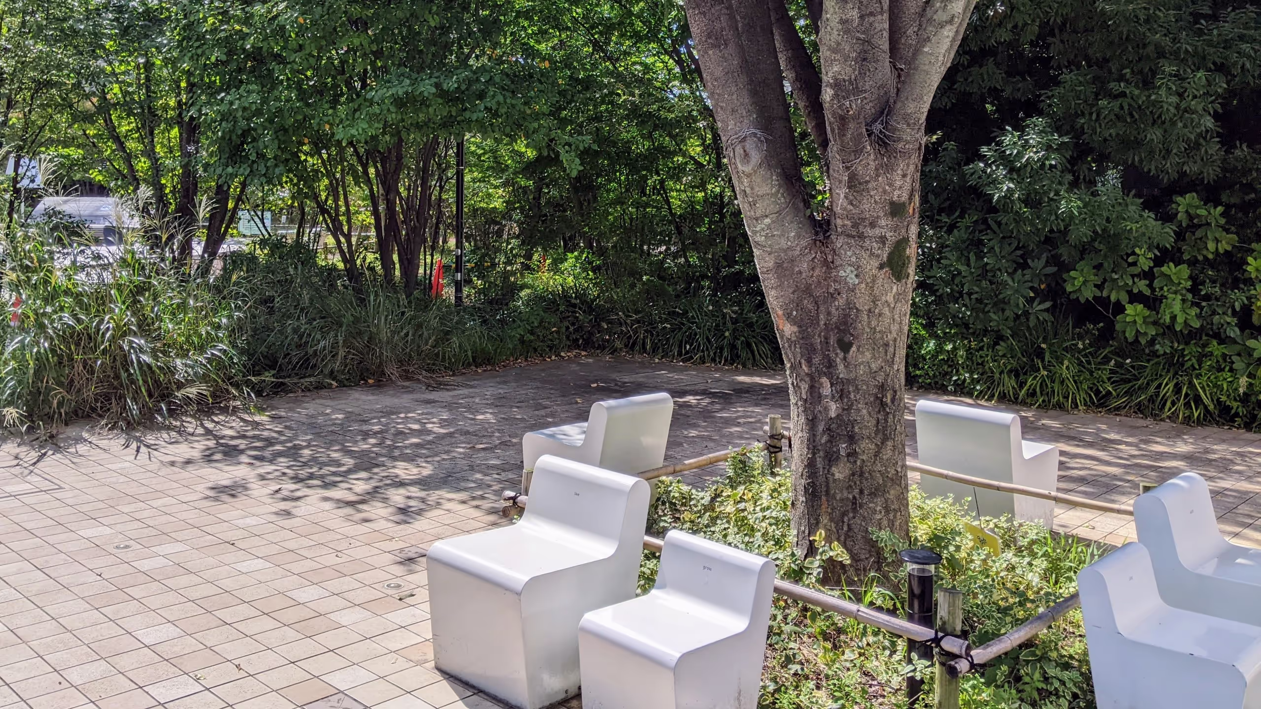 大きな木の周りに白い1人用のベンチが並ぶ