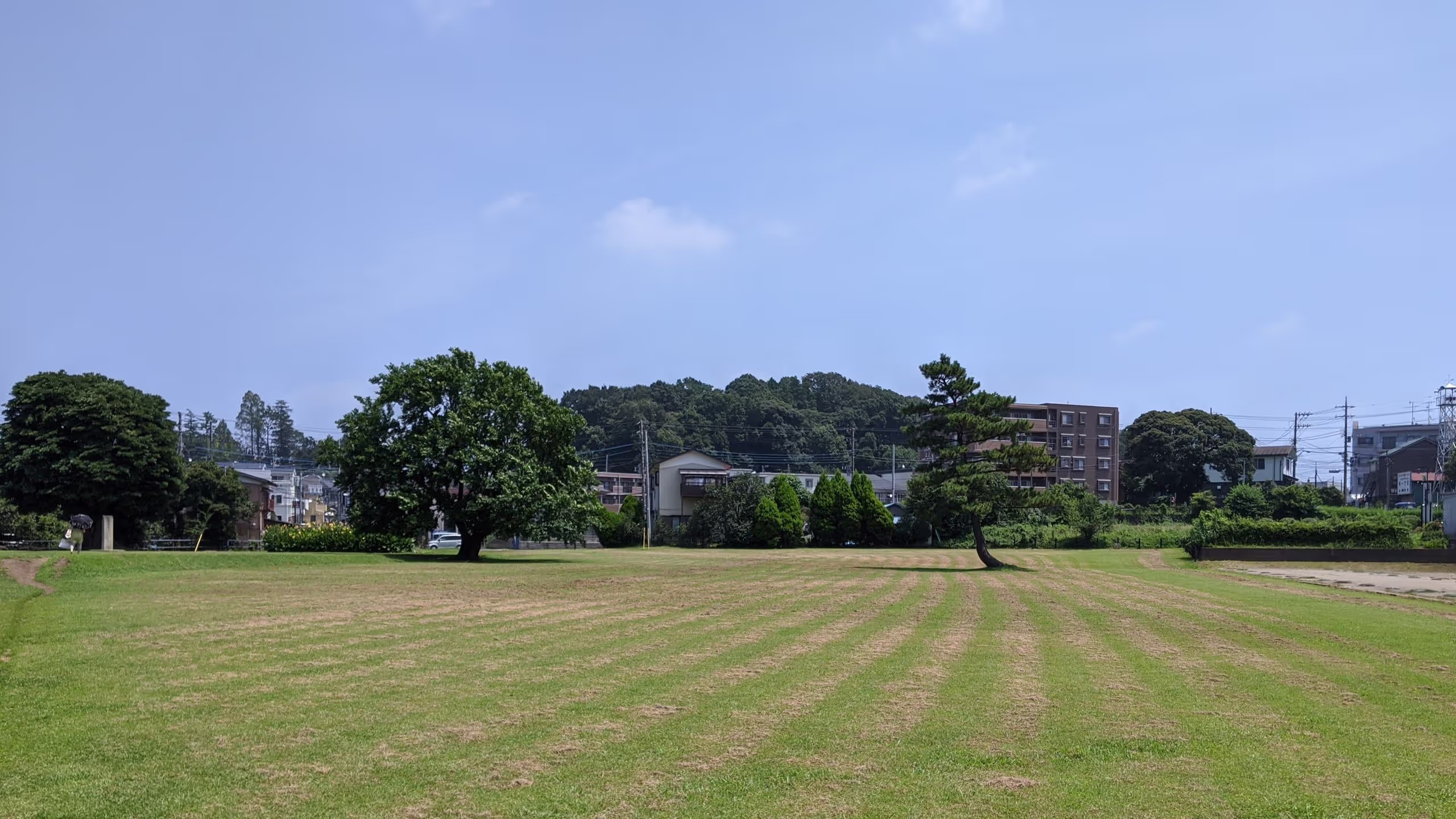 木が何本か生えているだけの広場。