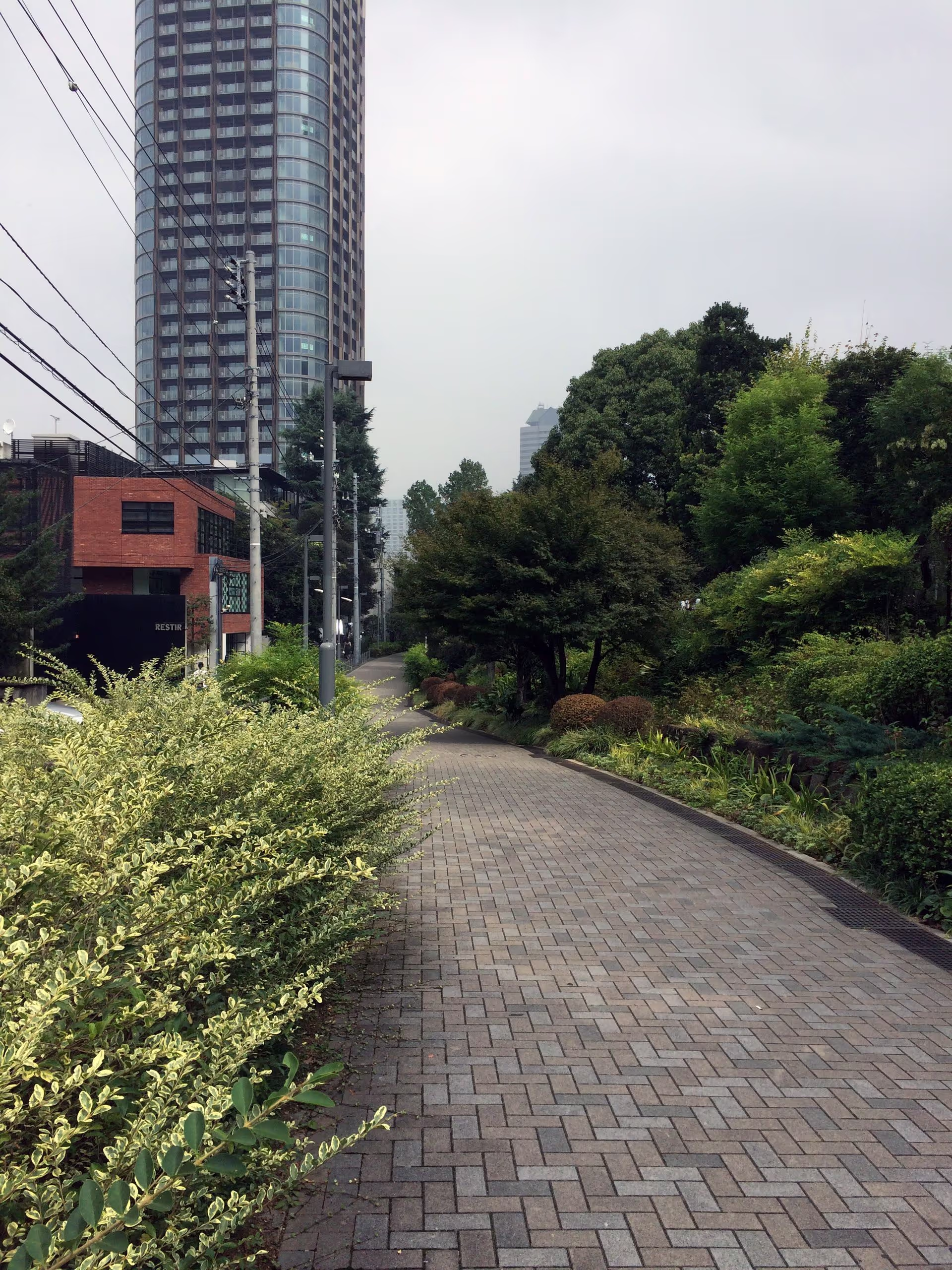 21_21 Design Sightの裏に出る西の端の道。