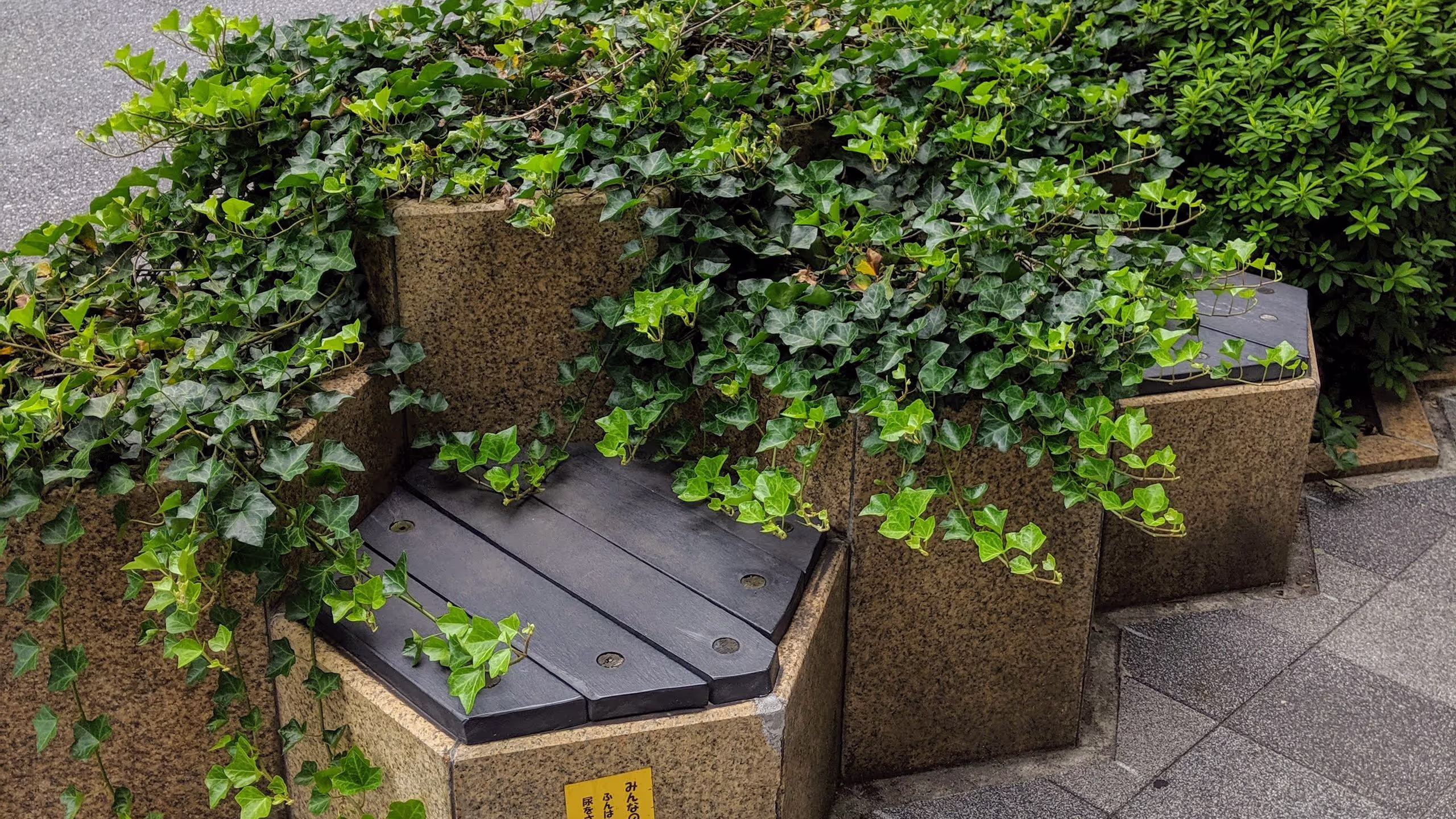 六角形で珍しい蔦等を植える鉢の間にベンチもある。