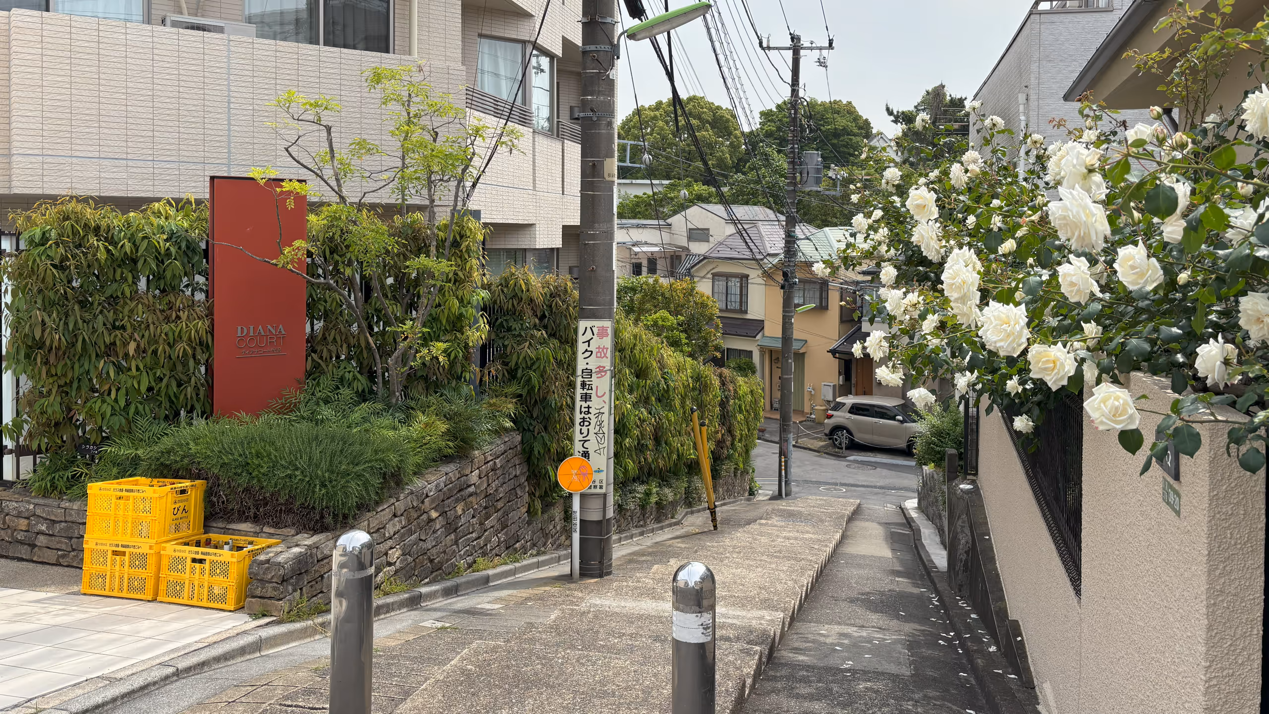 住宅地の真ん中に下り階段がある。もちろん車は通れないが、左右に坂があるため、自転車なら押して通れる。階段脇の家では白いバラが満開だ。