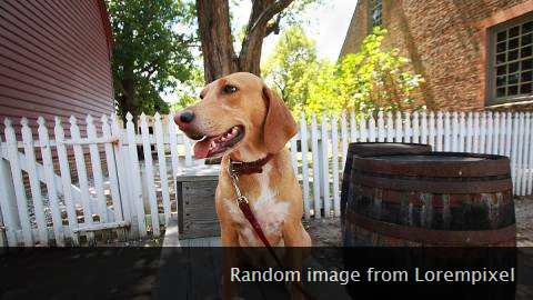 キャプション付きの犬の画像。