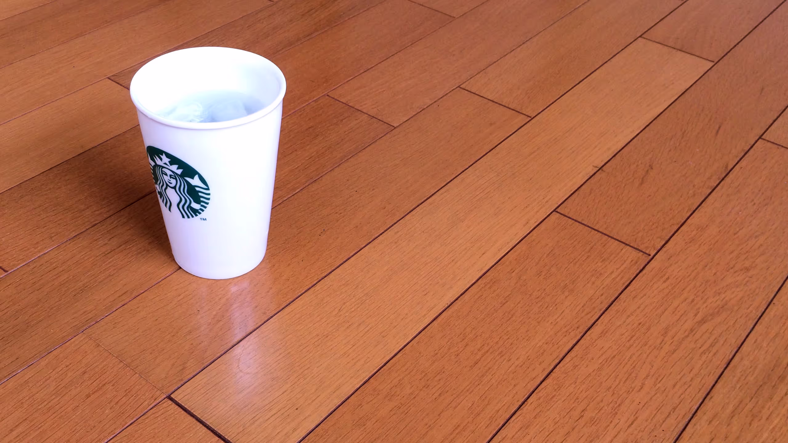 ロゴダブルウォールマグ 237ml。