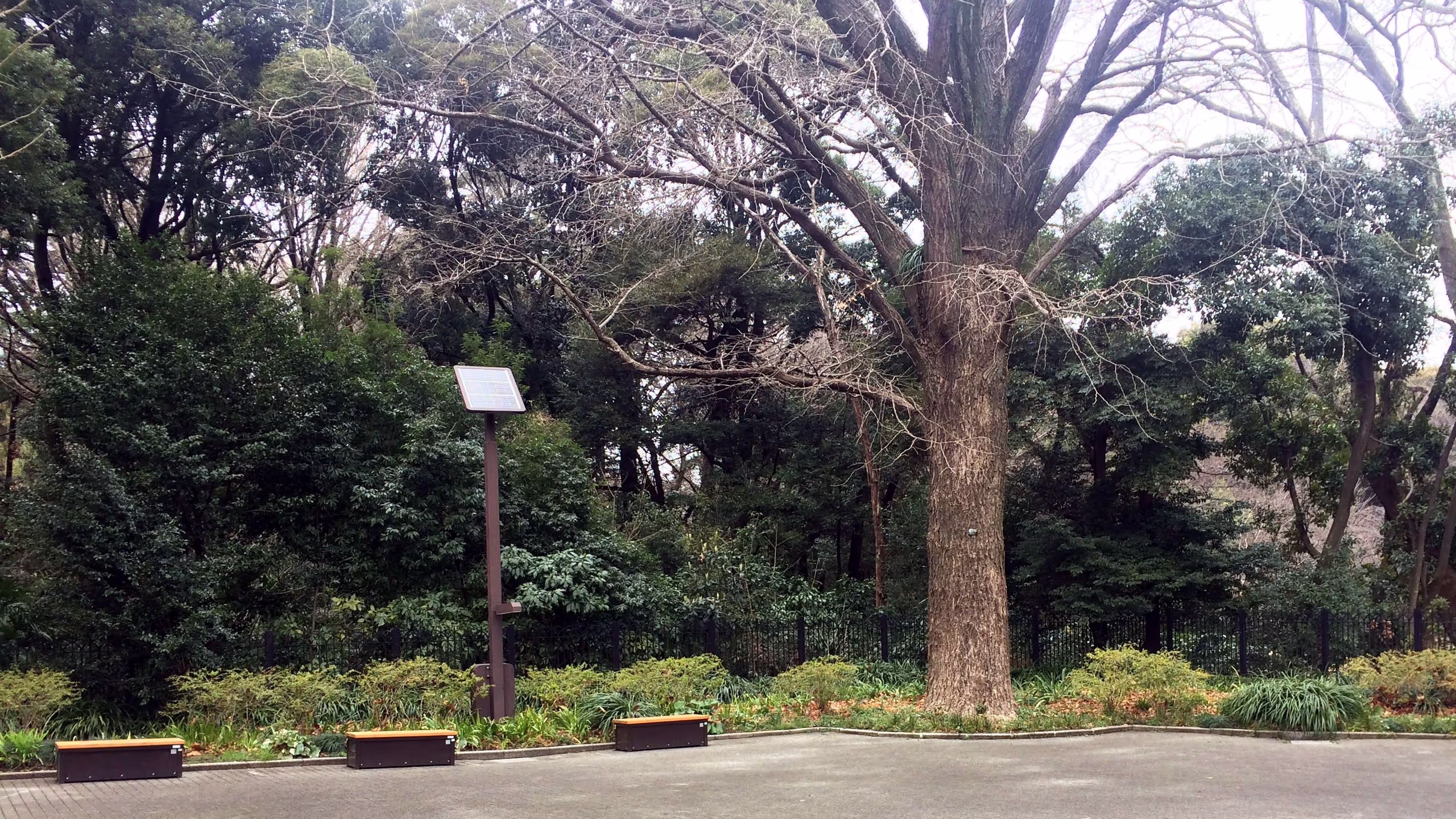 新宿御苑千駄ヶ谷門には誰もいない。