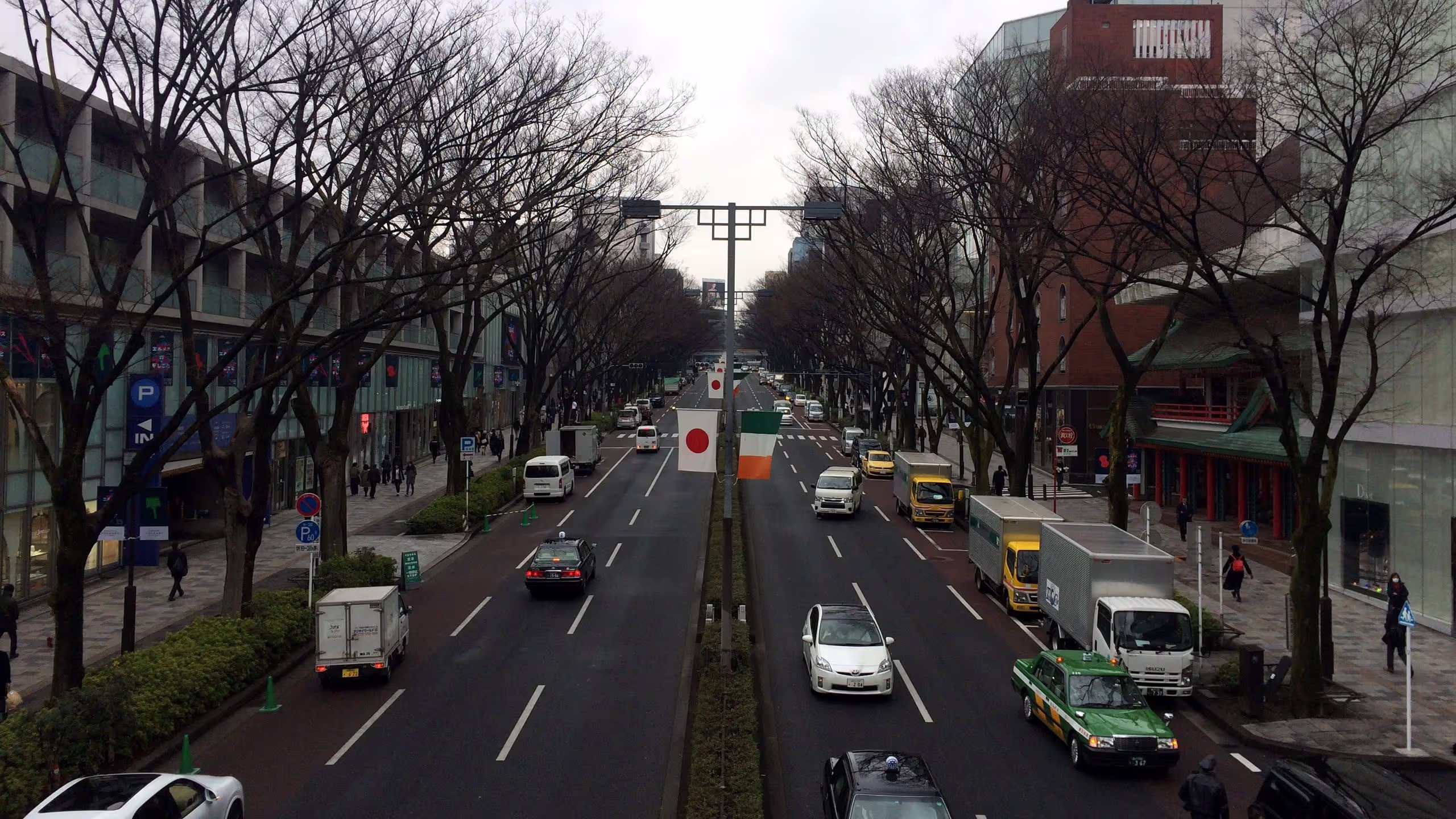 例の歩道橋から道路を見下ろした様子。
