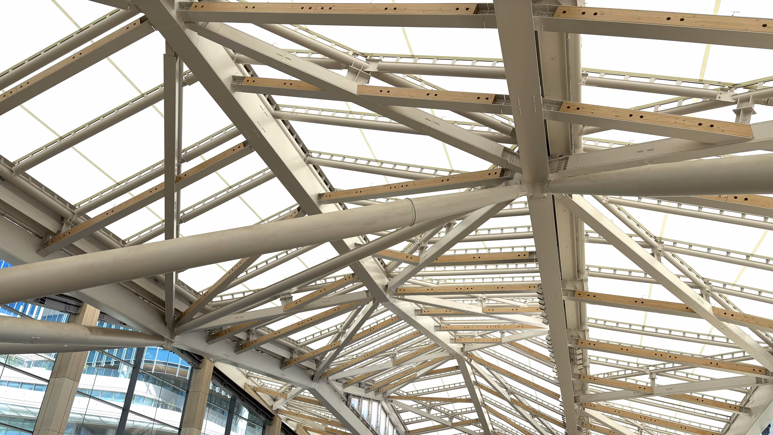 数多くの白く塗られた鉄骨が網の目のように張り巡らされて屋根を支えている。鉄骨は真っ白というわけではなく、木材が埋め込まれているのか、単調で退屈な印象は受けない。