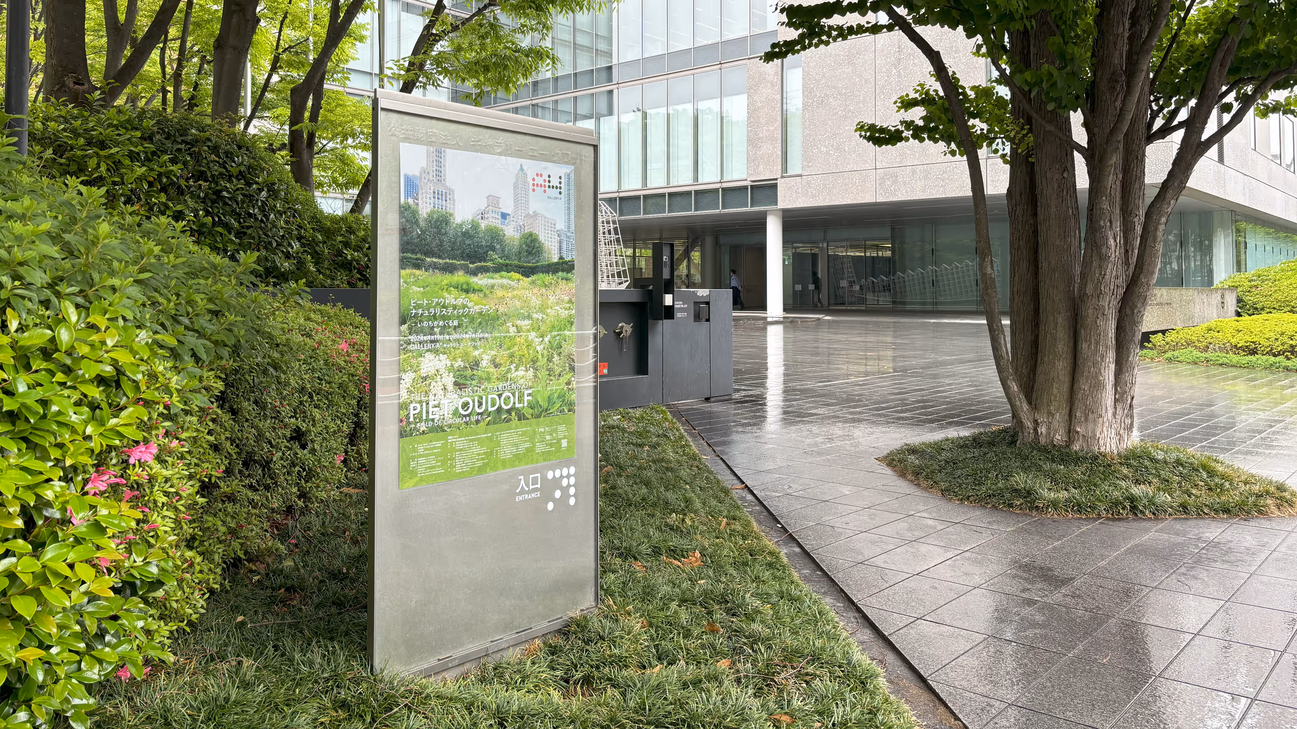 2024年4月19日(金)–2024年7月11日(木)