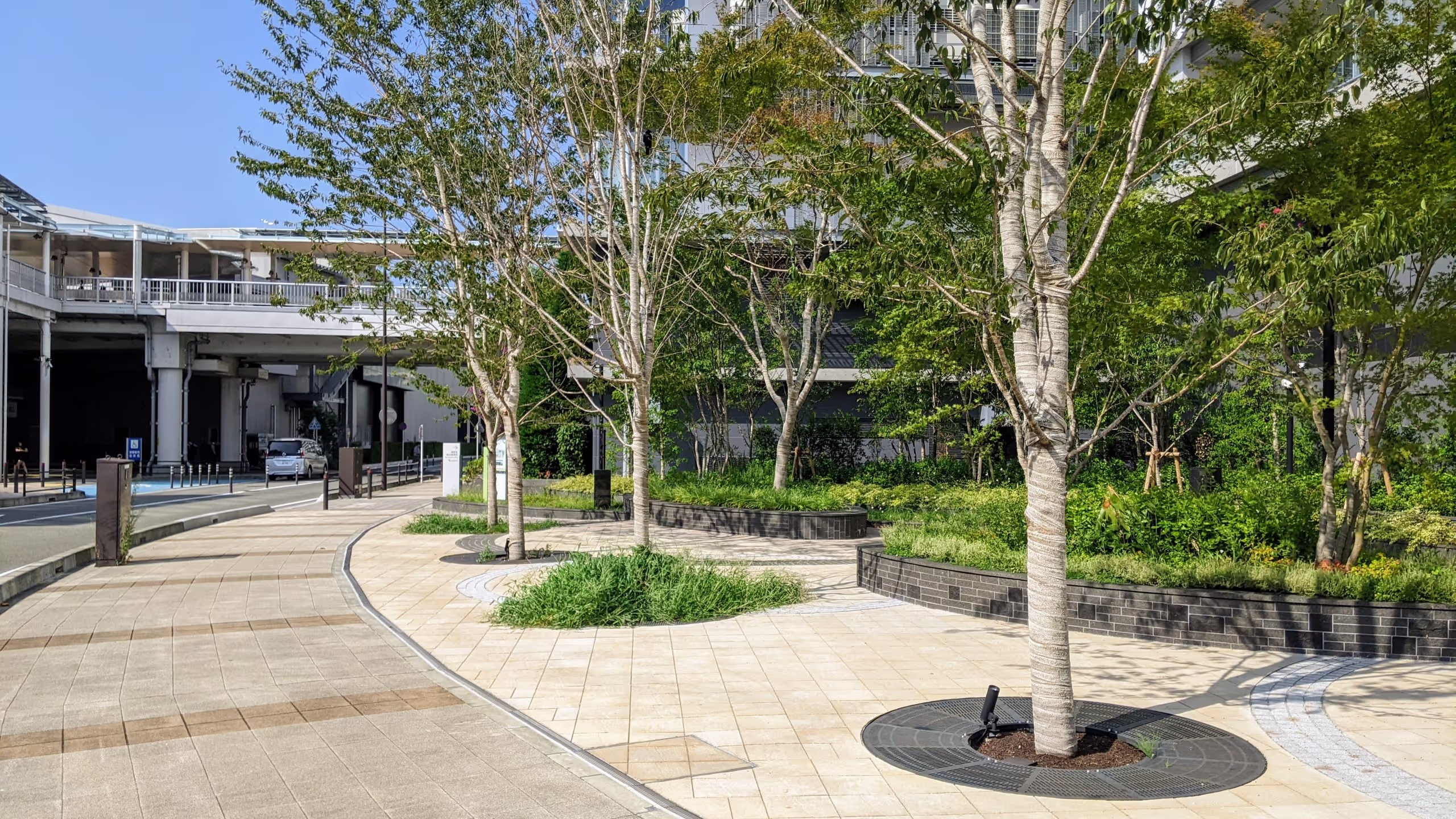 春に開業したオフィス・ビルの公園には根元に雑草が生えている木と生えていない木がある