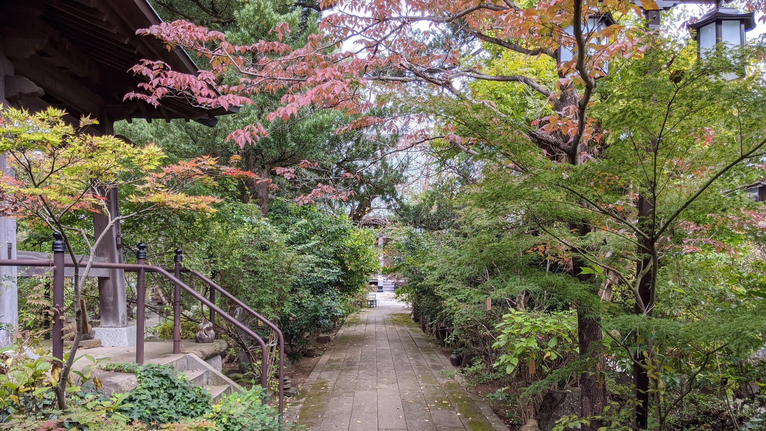 三門から本堂を望むと、境内の樹々が色づき始めている。